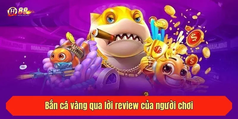 Câu cá vàng qua lời review của người chơi