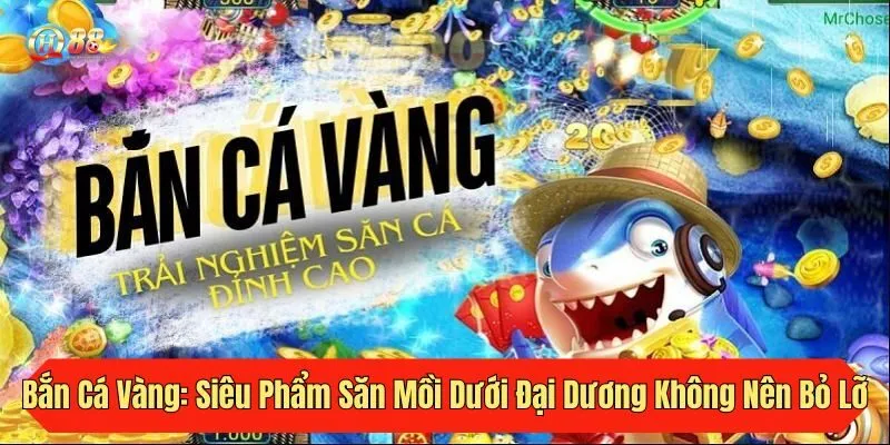 Câu Cá Vàng: Siêu Phẩm Săn Mồi Dưới Đại Dương Không Nên Bỏ Lỡ