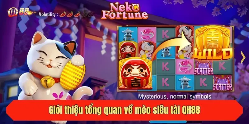 Giới thiệu tổng quan về mèo siêu tài QH88