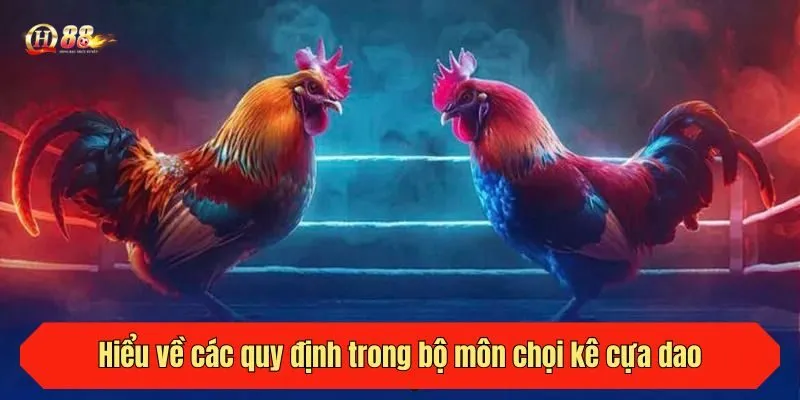 Hiểu về các quy định trong bộ môn chọi kê cựa dao