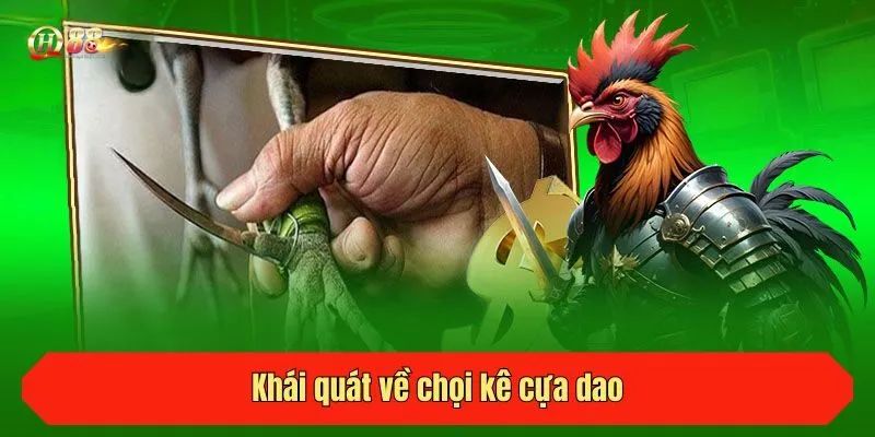 Khái quát về chọi kê cựa dao