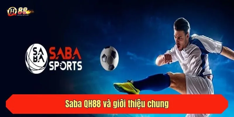 Saba QH88 và giới thiệu chung
