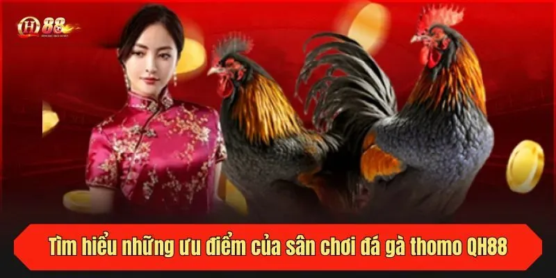 Tìm hiểu những ưu điểm của sân chơi đá gà thomo QH88