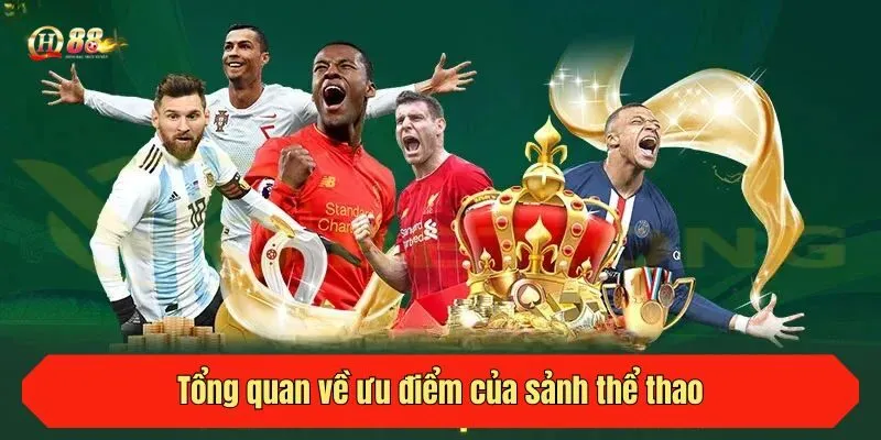 Tổng quan về ưu điểm của sảnh thể thao